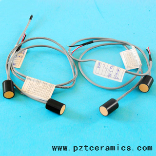 ultrasone gassensor