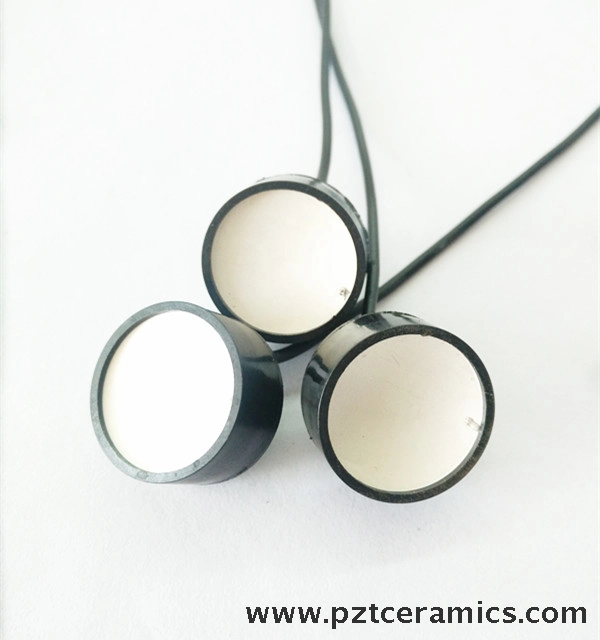 Ultrasone gerichte transducer-3